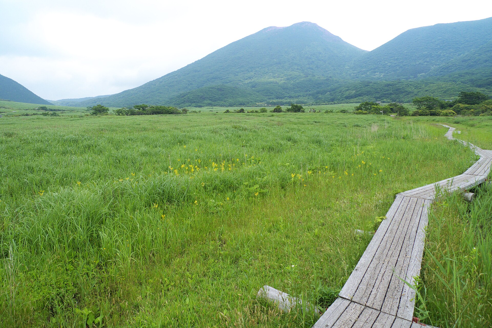 坊ガツル湿原
