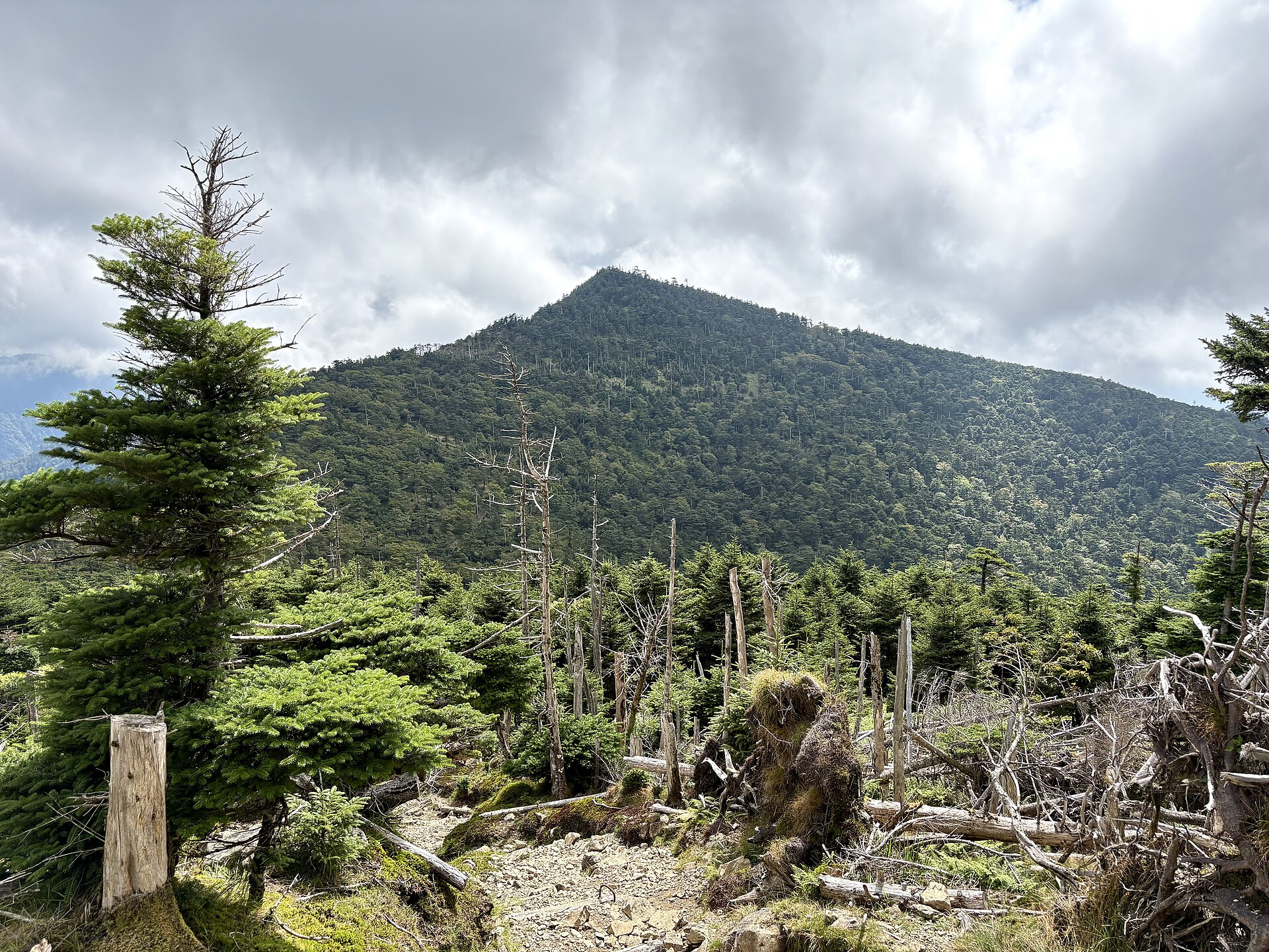 弥山から八経ヶ岳